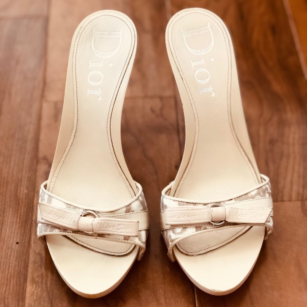 Authentic Dior Shoes